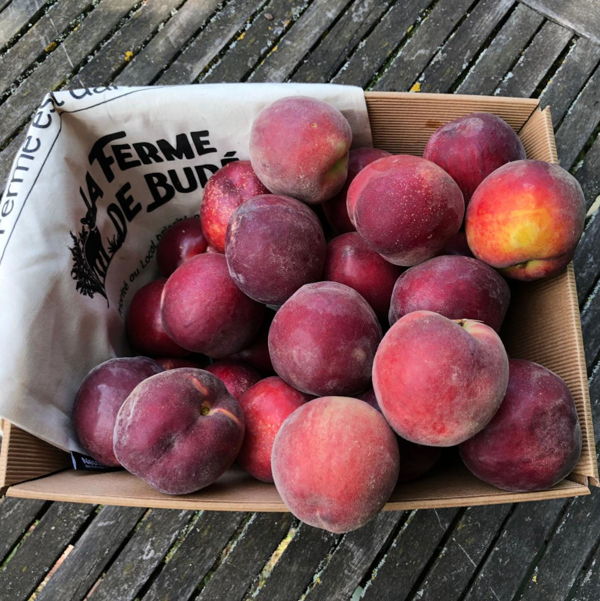 carton-de-peches-bio-3kg