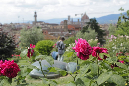 Флоренция - это значит цветущая 