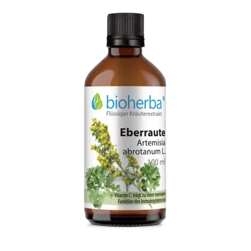 Eberraute, Artemisia Abrotanum L., Tropfen, Tinktur 100 Ml