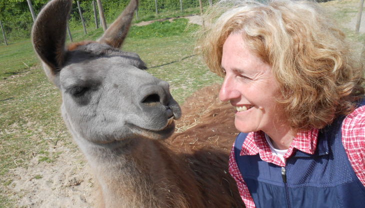 kindergeburtstage mit lamas in gelsenkirchen essen nrw prachtlamas beate pracht
