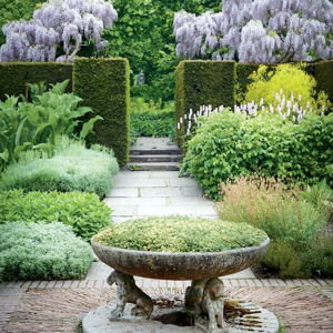 A Texas Garden