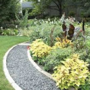 New Backyard