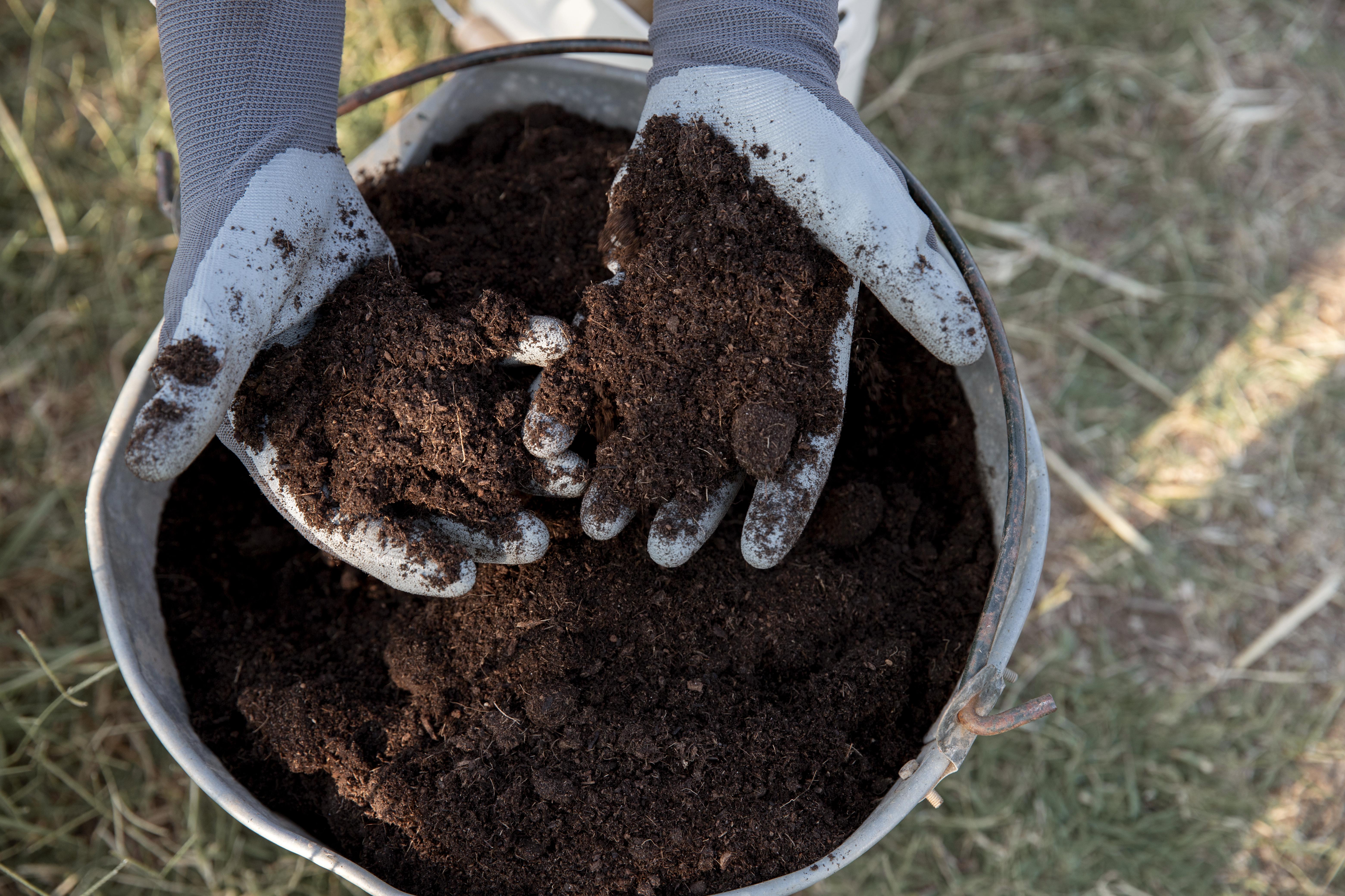 Gardener holding soil in gloved hands, over a bucket of soil.
