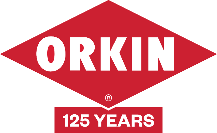 Custom Logo