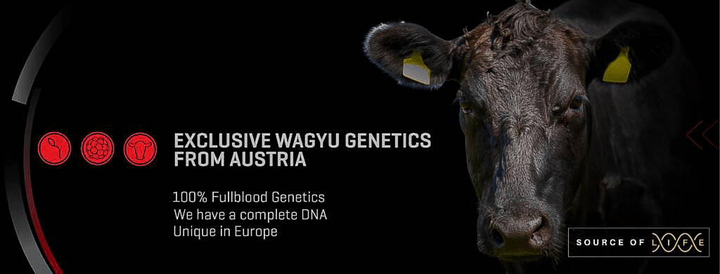Logo Hauptseite Wagyuhof Genetics