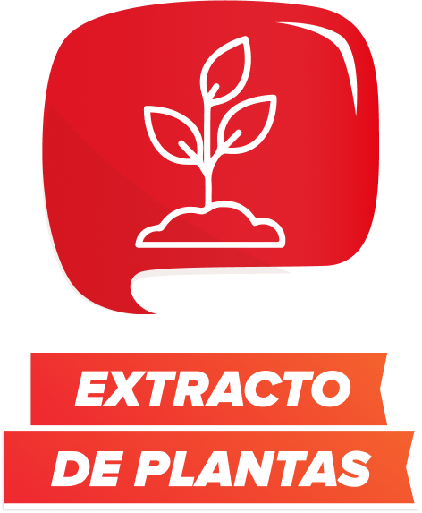 EXTRACTO DE PLANTAS