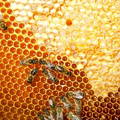 wax-capped-and-uncapped-honey-on-comb