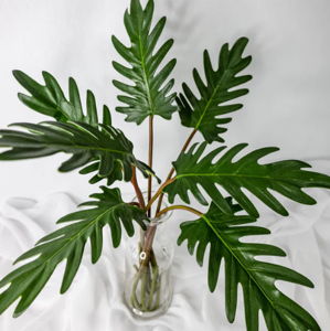 Small Xanadoo Leaf ( 12 Pack ) - Realistic Artficial Flowers