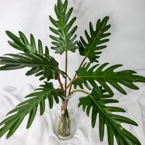 Small Xanadoo Leaf ( 12 Pack ) - Realistic Artficial Flowers
