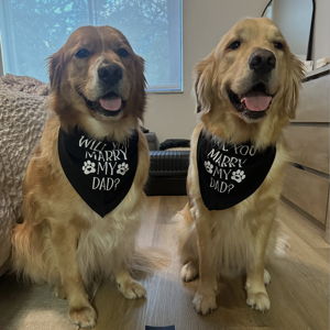 Charlie and Leo's Future Backyard - Venmo or Zelle Option