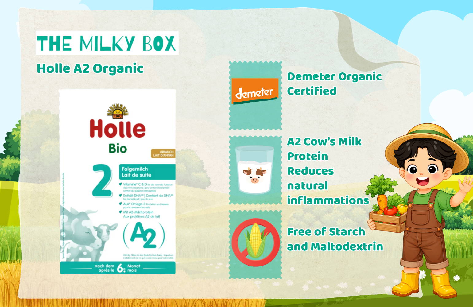 Holle A2 Organic Cow | The Milky Box