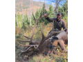 Archery Elk Hunt with Lone Wolf Guide Service in Montana