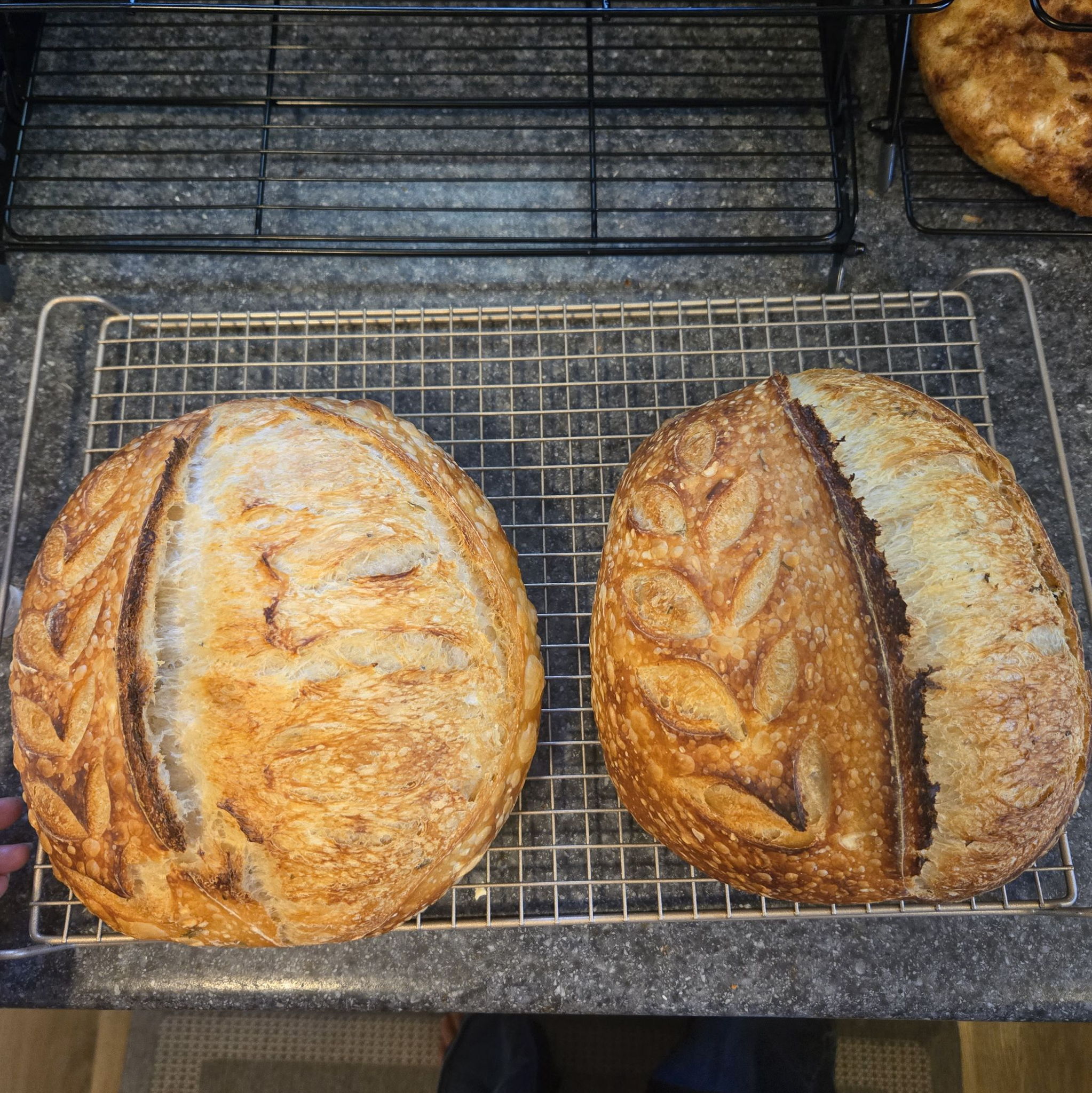Fallen Leaf Sourdough — photo from hotplate.com