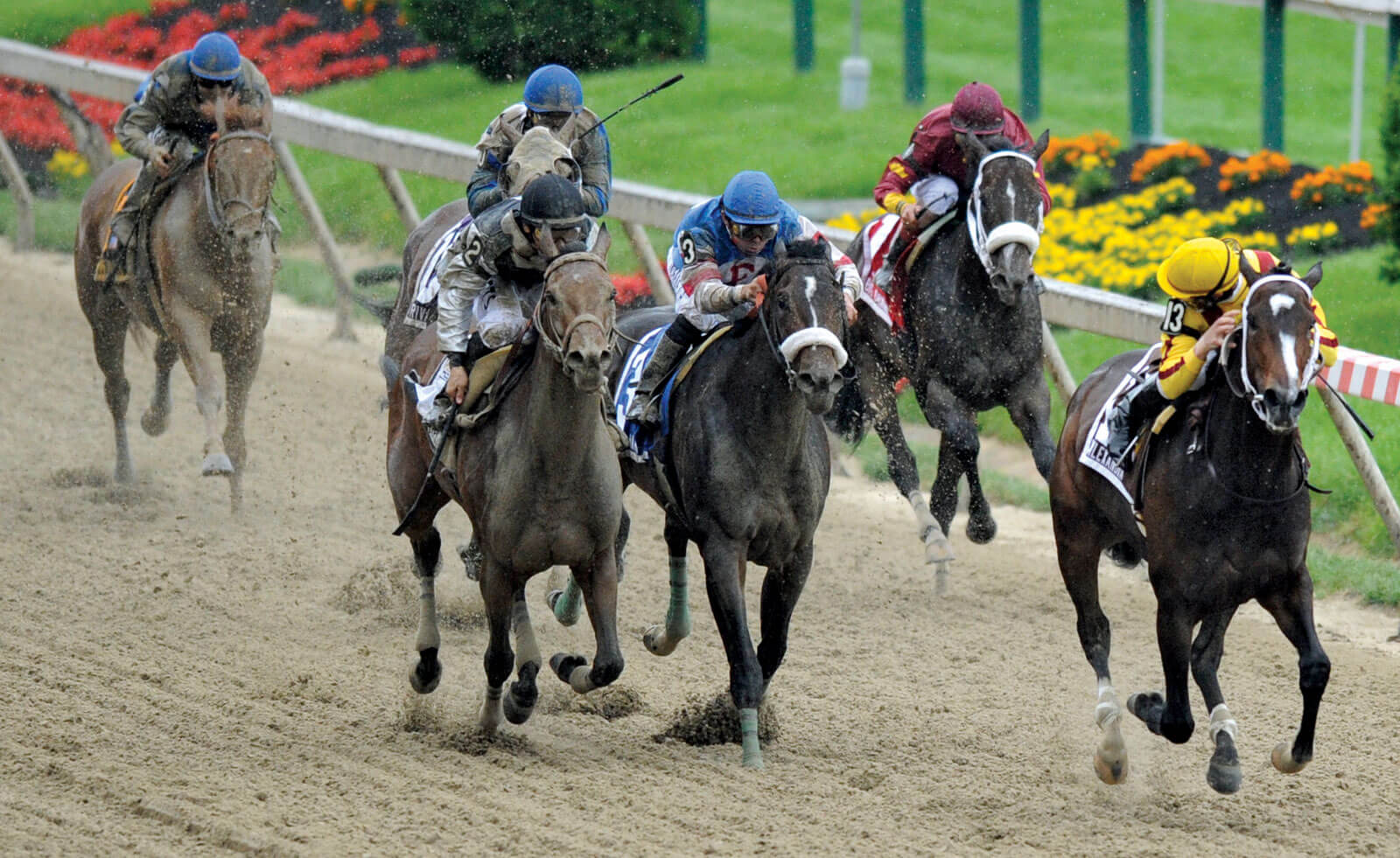 preakness stakes betting