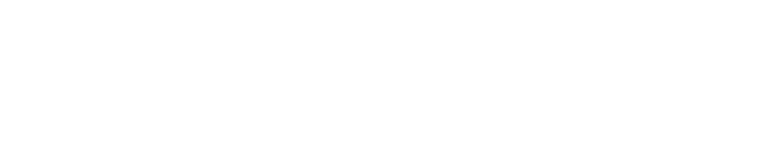 The State News Digital Edition Logo
