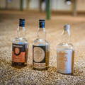 Bouteilles Single Malt Scotch Whiskies Springbank, Hazelburn et Longrow de la distillerie Springbank sur la péninsule de Kintyre dans la région de Campbeltown en Ecosse