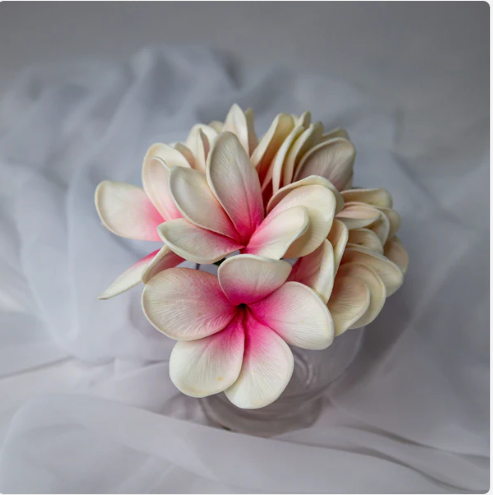 White Pink Frangipani Flowerhead (6 Pack) - Realistic Artificial Flowers - Image 3