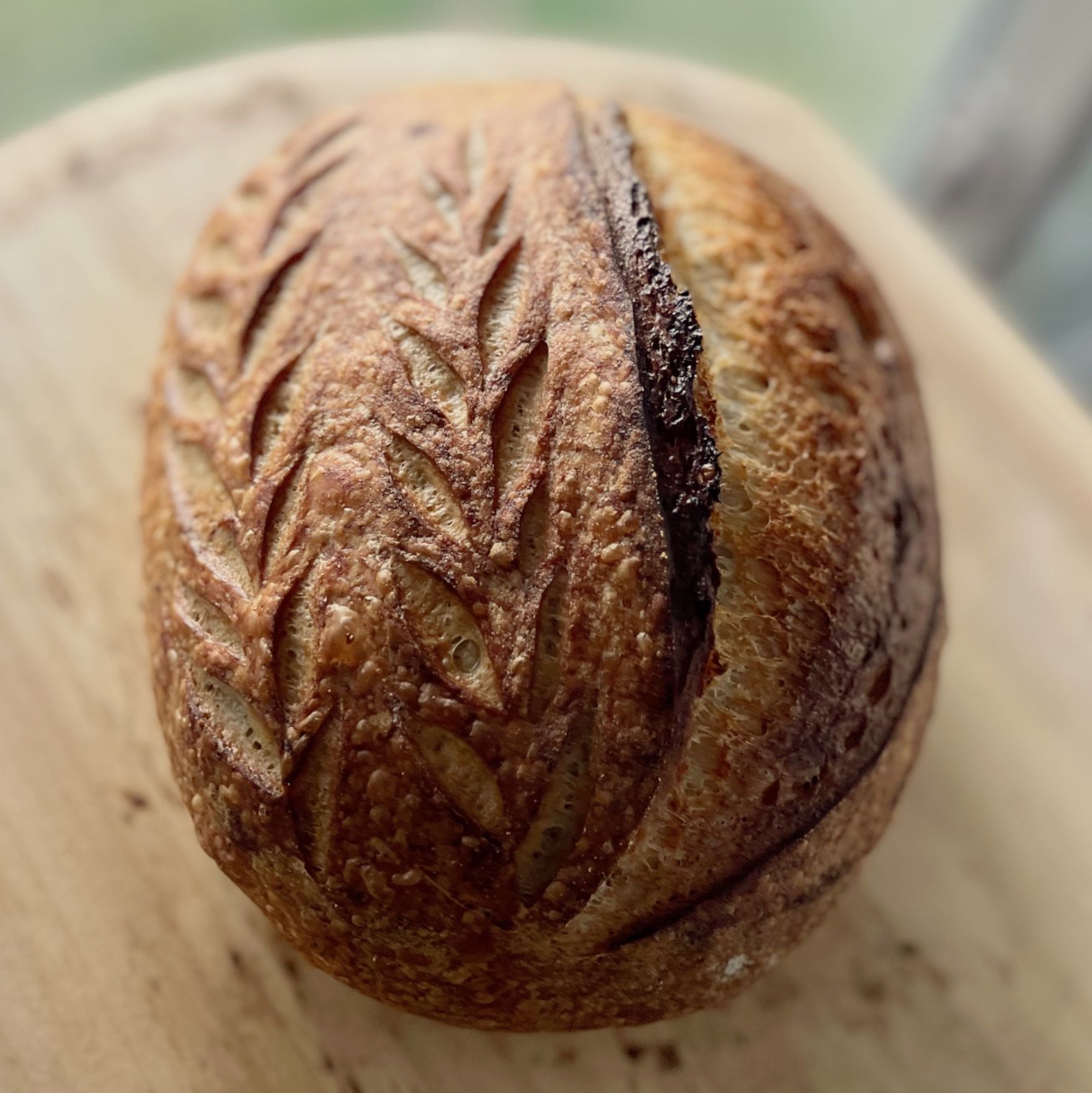 Jersey Shore Dough Co | NJ Organic Cottage Bakery — photo from hotplate.com