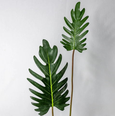 Small Xanadoo Leaf ( 12 Pack ) - Realistic Artficial Flowers - Image 4