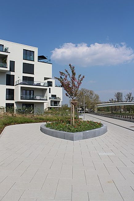  Ludwigshafen
- Aktuelle-Entwicklung-des-Immobilienmarktes-in-Ludwigshafen3.JPG