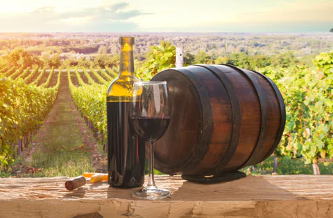 Small Group Wine Tasting Tour to Tuscany: a Petite Piece of Florence