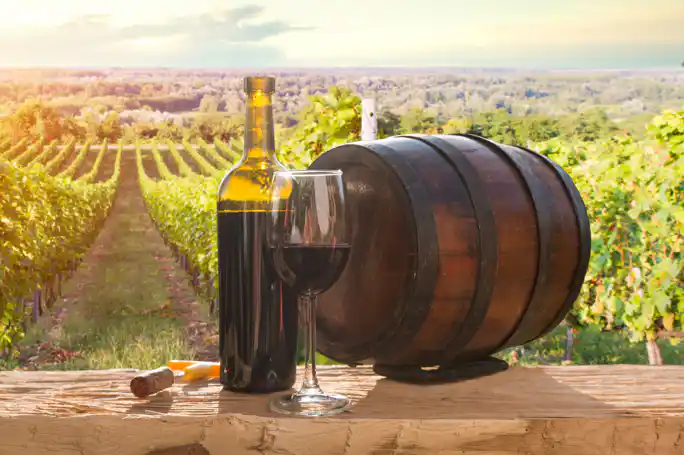 Small Group Wine Tasting Tour to Tuscany: a Petite Piece of Florence