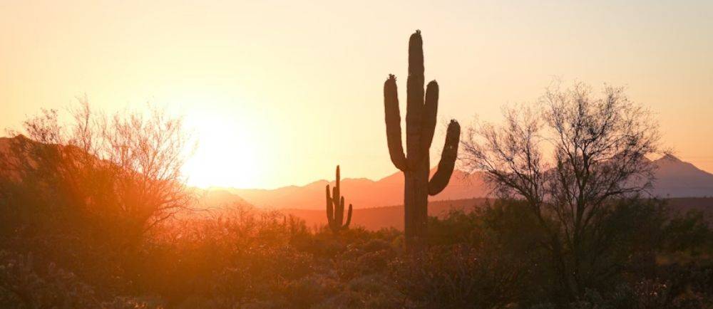  Phoenix Arizona desert 