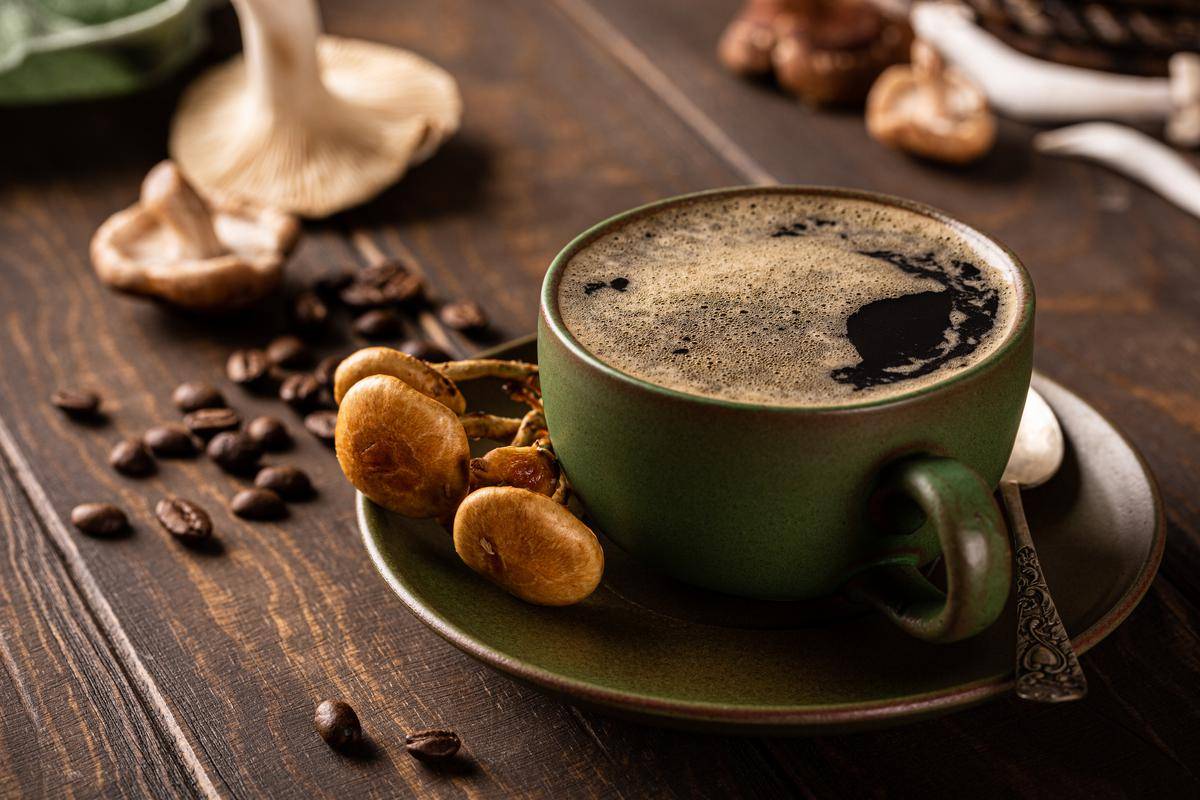 mushroom coffees