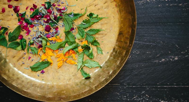 The Science of Life: An Ayurveda weekend with best-selling author Kate O’Donnell