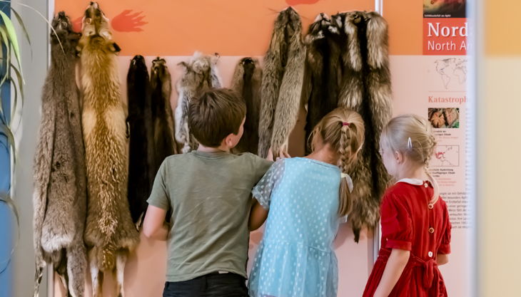 naturkundemuseum potsdam tierfelle