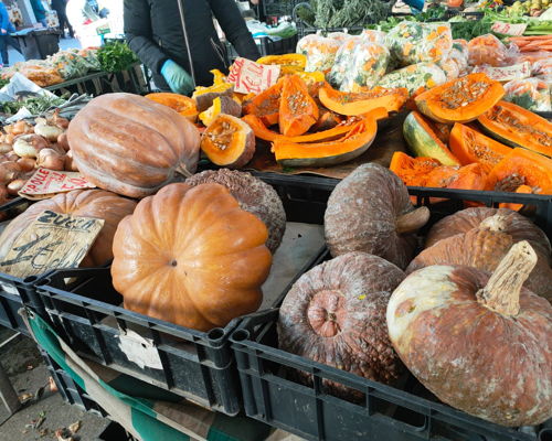 Food & Wine Tours Turin: The flavors of Turin: market, fresh pasta and local wine