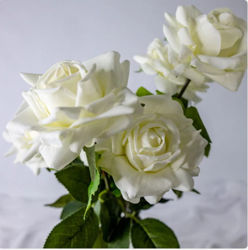White Real Touch Full Bloom Roses - Realistic Artificial Flowers