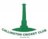 Callington Cricket Club Logo