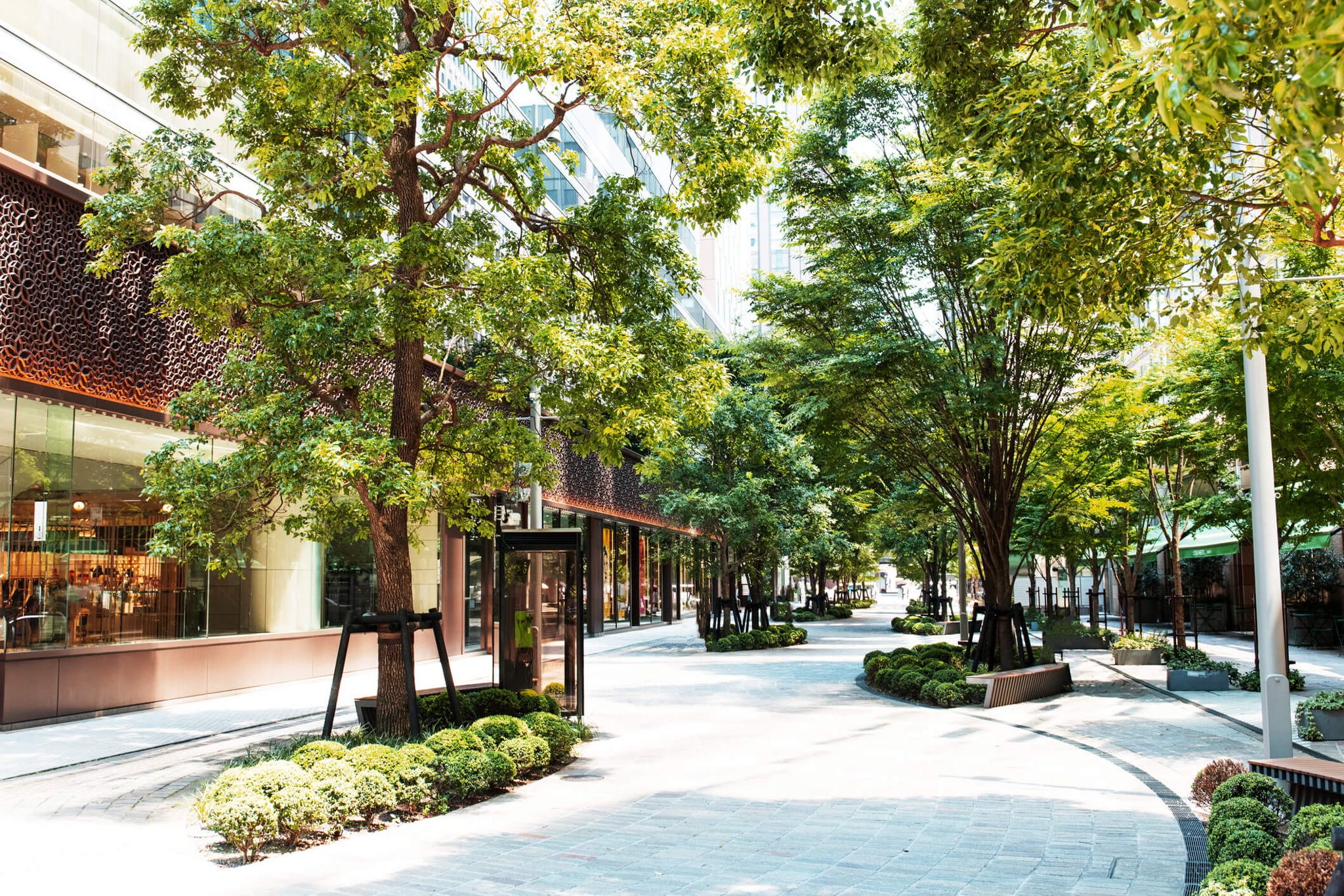 Learn More About Our ESG