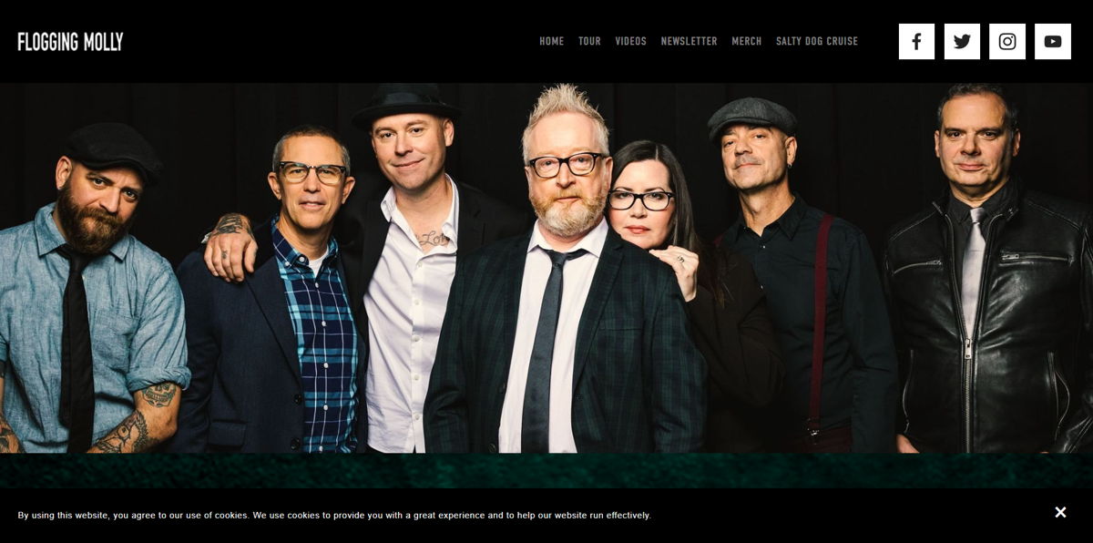 Screenshot of Flogging Molly, from the band websites collection.
