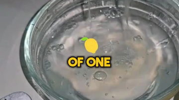 Main Content Image