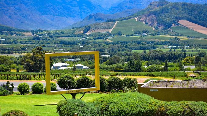 The Stellenbosch wine route