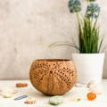 Candle Holder | GiveMeCocos