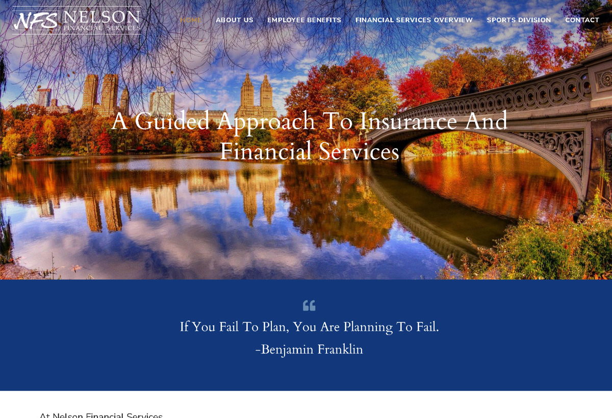 Screenshot of Nelson Financial Services, from the blue websites collection.