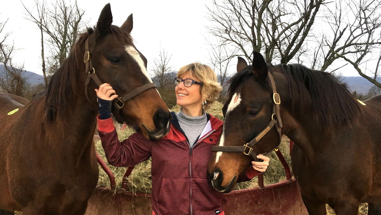 Every Past Connection Can Be A Hero In A Horse's Story