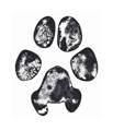 Black and white paw print illustration with detailed texture on a white background. The print conveys a natural, rugged feel.