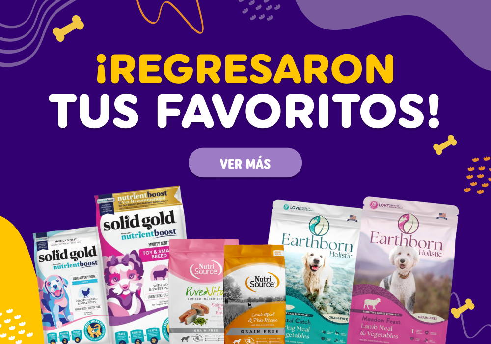 ¡Regresaron tus favoritos al Arca de Noé!