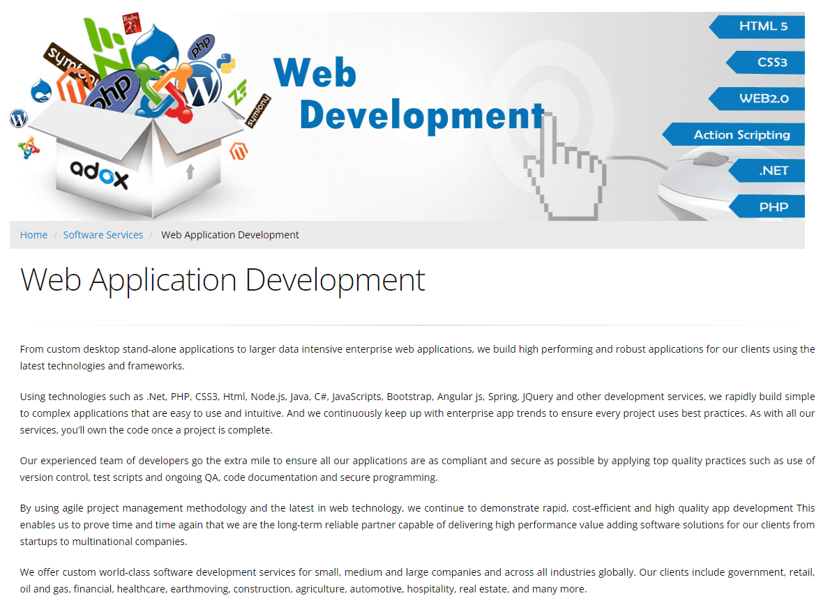 DSM-H Consulting product / service