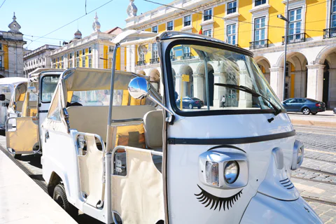 Half Day Sightseeing Tour on a Private Electric Tuk Tuk