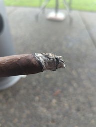 Cigar Session Photo