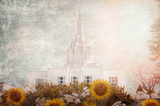 Textured picture of the Idaho FAlls Temple with sunflowers in the foreground.