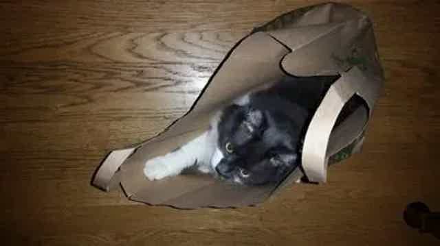 The Best Thing I Ever Did for My Health.