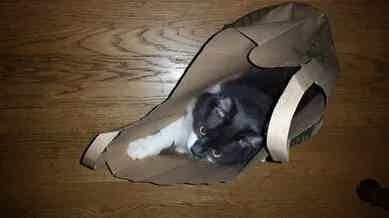 The Best Thing I Ever Did for My Health.