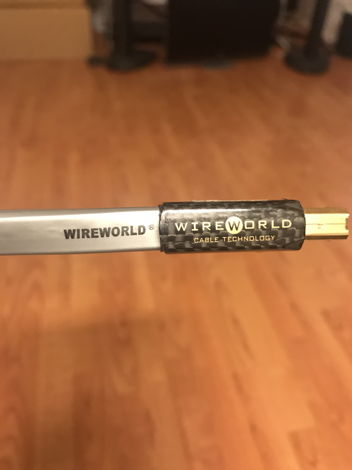 Wireworld Platinum