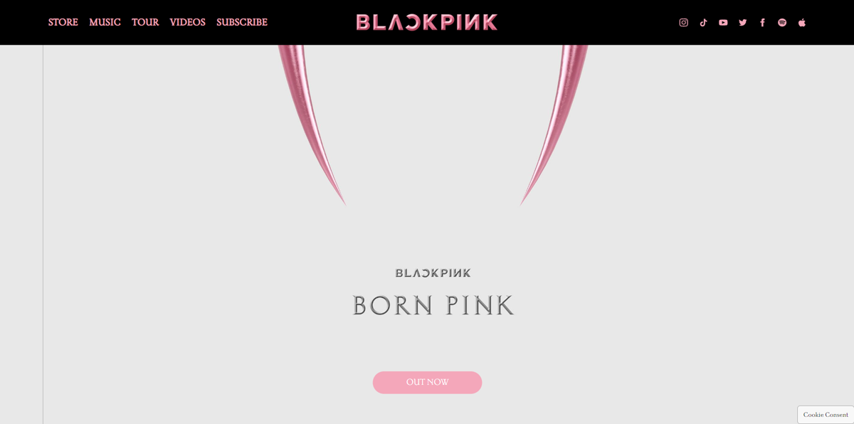 Screenshot of Blackpink, from the band websites collection.